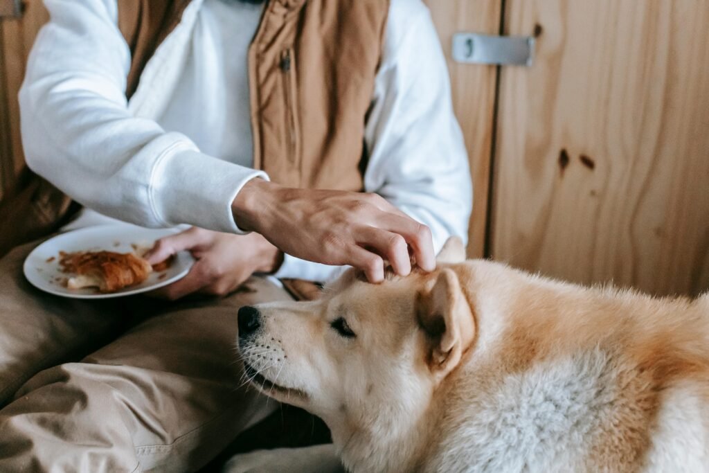 Hond mag dit niet eten